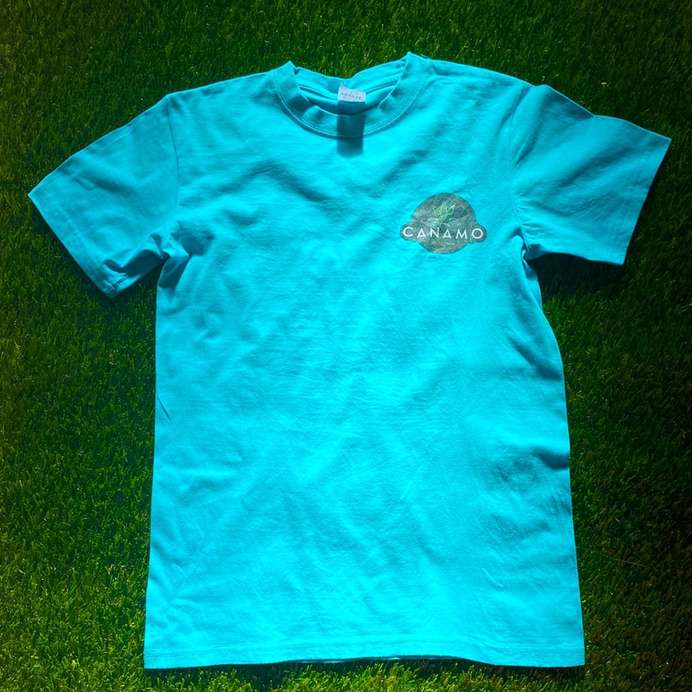 Light blue T-shirt. Great cotton.